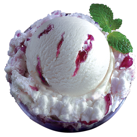 Scoop Blueberry-Ripple_-11-05-2024-15-15-11.jpg